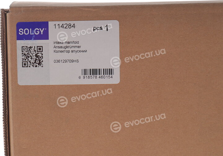 Solgy 114284