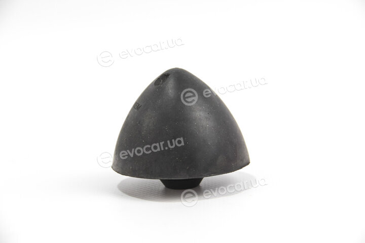 Goodrem RR6009