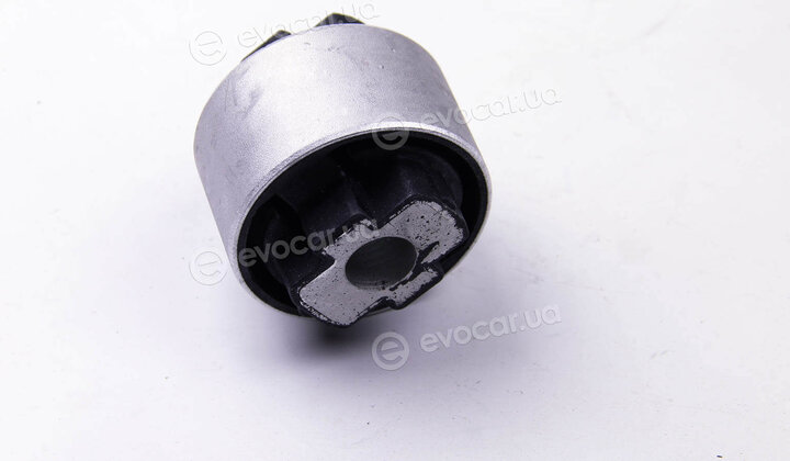 Metalcaucho / STC 05335