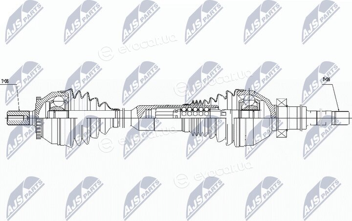 NTY NPW-VV-016