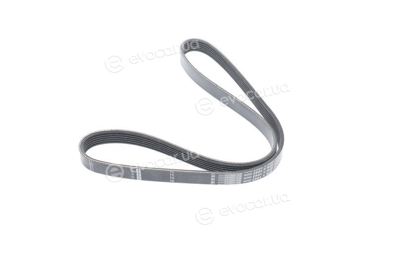 Finwhale BP6PK1043