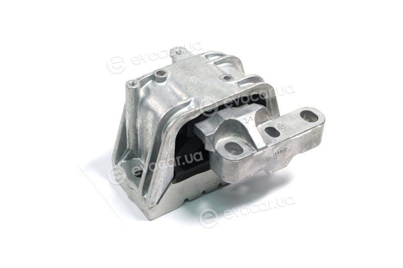 Sasic 9001937