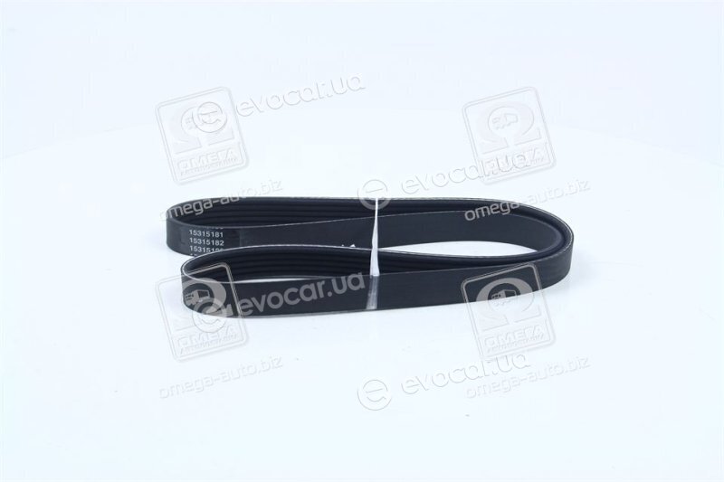 Dayco 5PK975