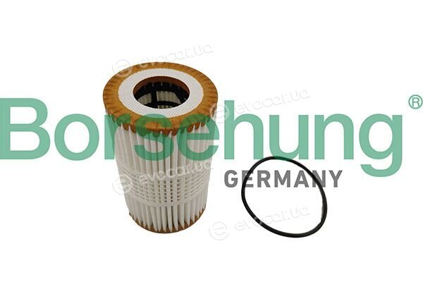 Borsehung B10448