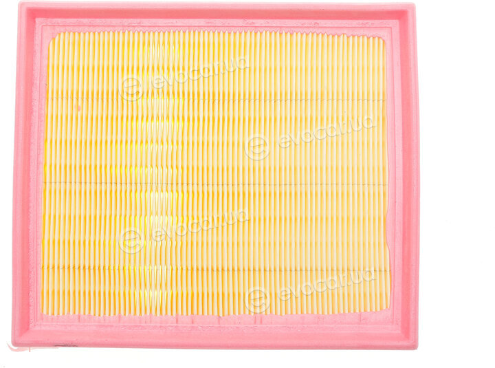 Solgy 103131