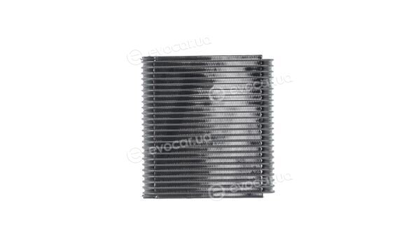 Mahle AE 227 000S