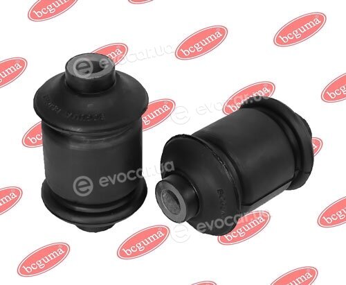 BC Guma 0261