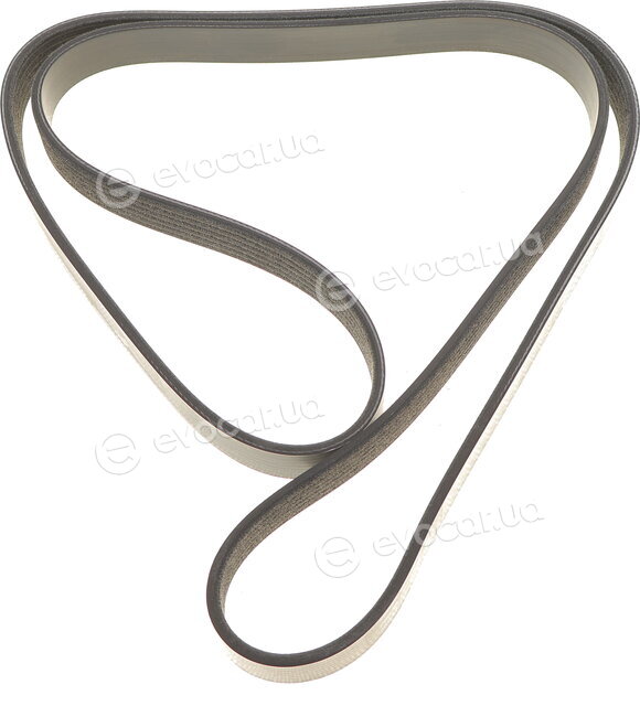 Dayco 6PK1525S