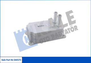 Kale 344575