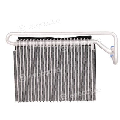 Bapmic TOPT1254001