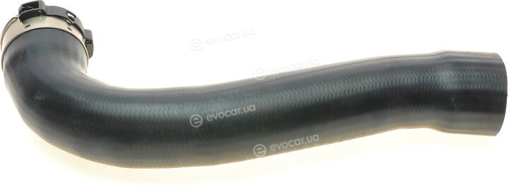 Solgy 114192