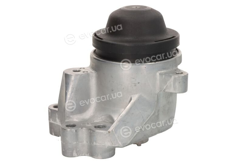 Tedgum TED17586