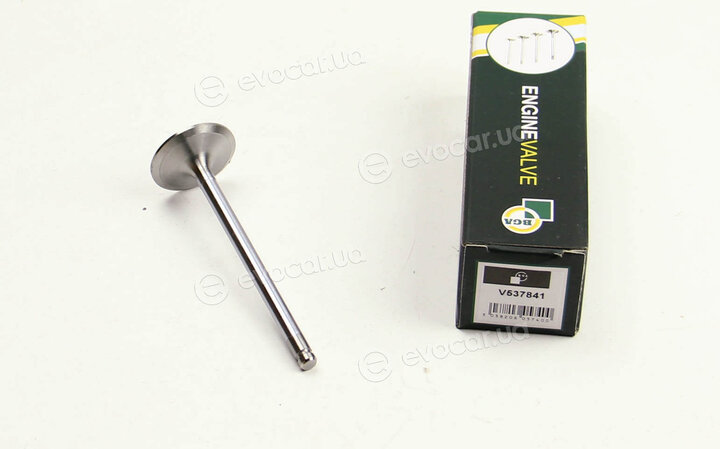BGA V537841