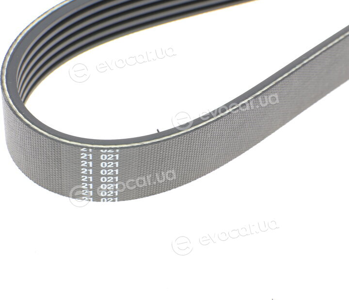 Hutchinson 1042 SK 6