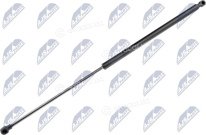 NTY AE-NS-010