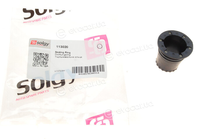 Solgy 113020