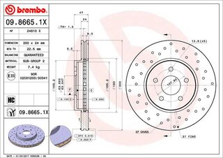 Brembo 09.8665.1X