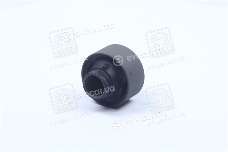 RBI T2431WB