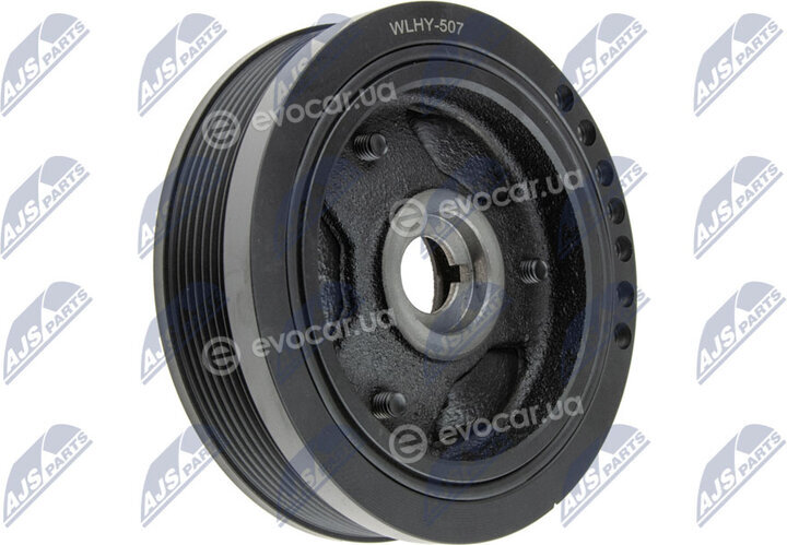 NTY RKP-HY-507