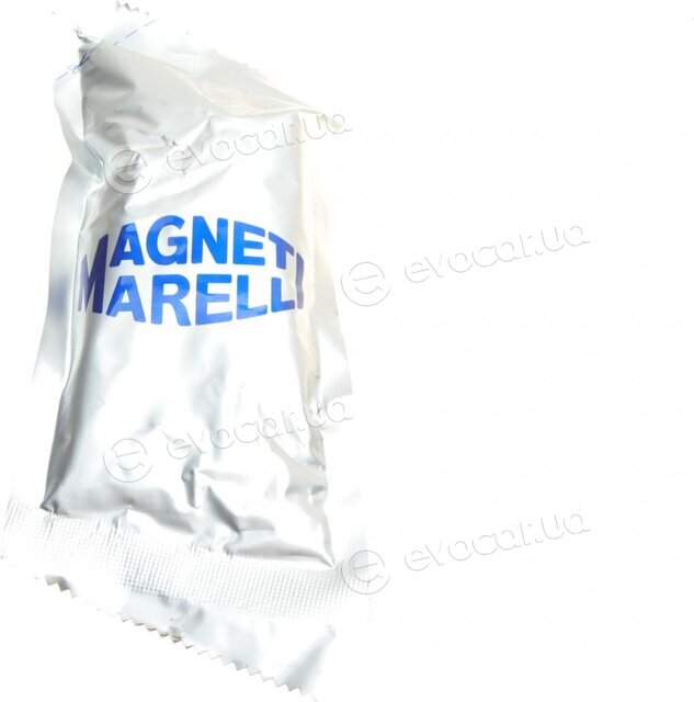 Magneti Marelli 302015100258