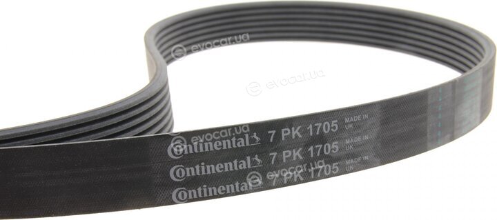 Continental 7PK1705K1