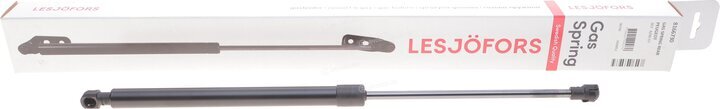 Lesjofors 8166730