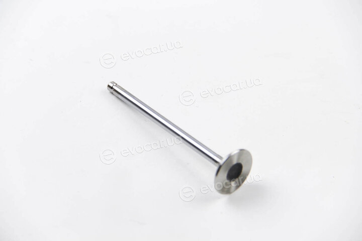 BGA V164631