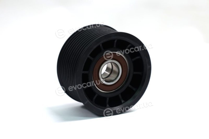 Dayco APV2811