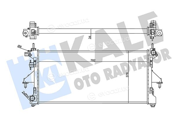 Kale 356455