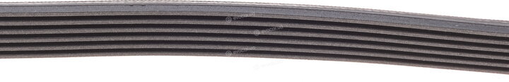 Continental 6PK955