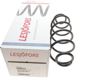 Lesjofors 4215644
