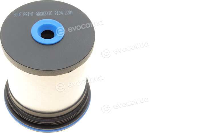 Blue Print ADG02370