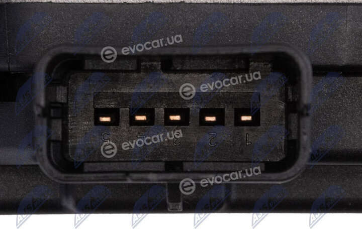 NTY ETB-CT-008
