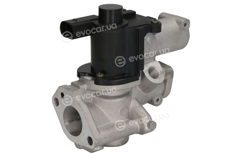 Delphi EG10509