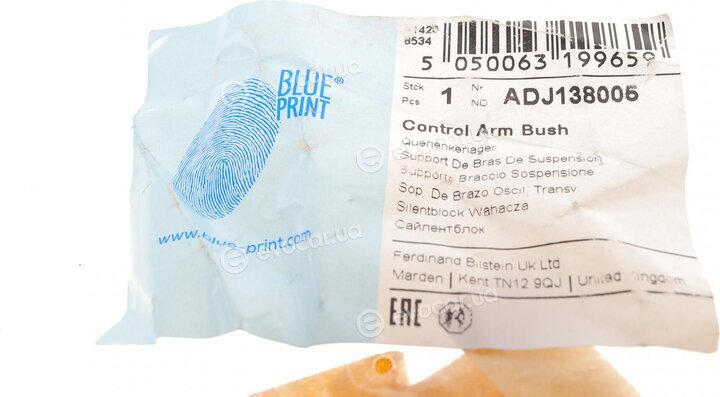 Blue Print ADJ138005