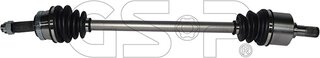 GSP 224287