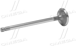Gunes 2574
