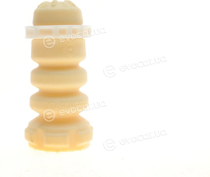 Borsehung B10022