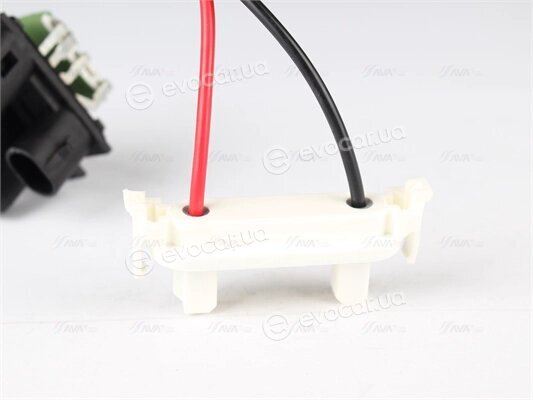 AVA RTR011
