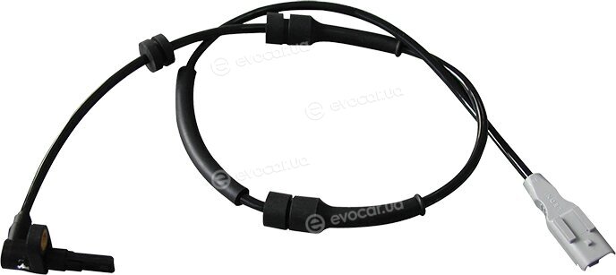 Gauss GS2081
