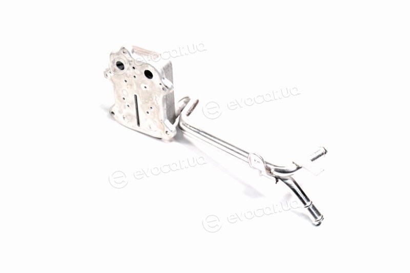 Van Wezel 03013702
