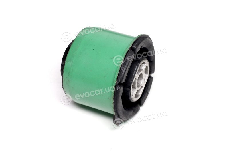 Sasic 2600005
