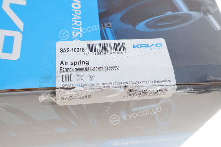 Kavo SAS-10018