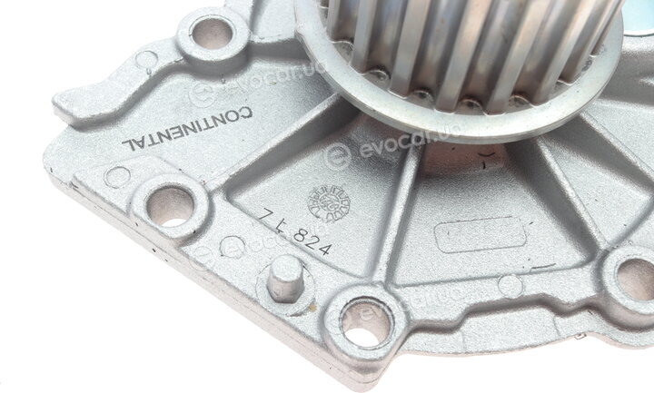 Continental CT1010WP1