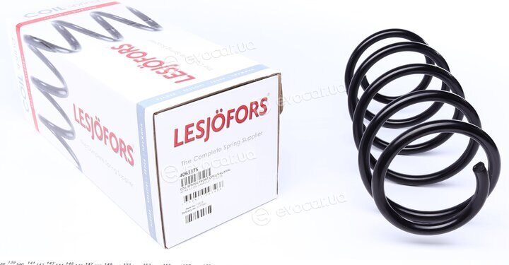 Lesjofors 4063475