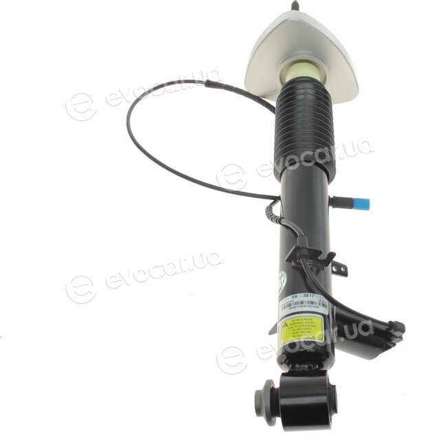 Arnott SK-3817