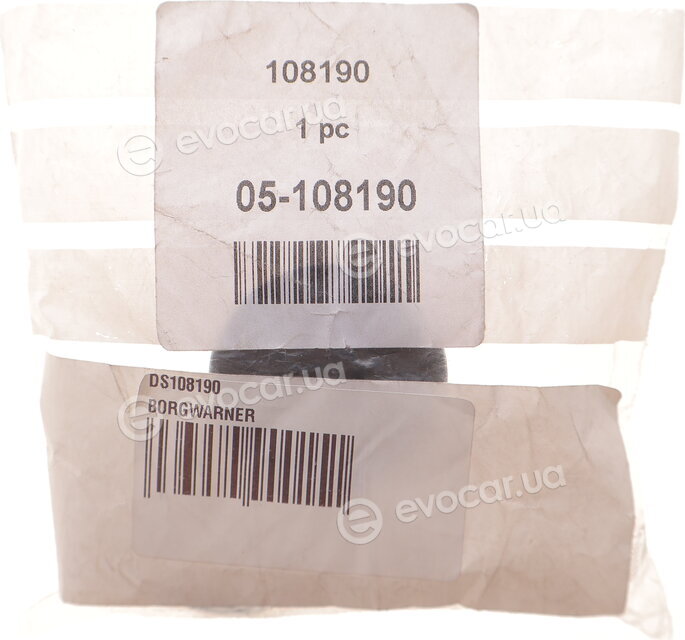 BorgWarner DS108190