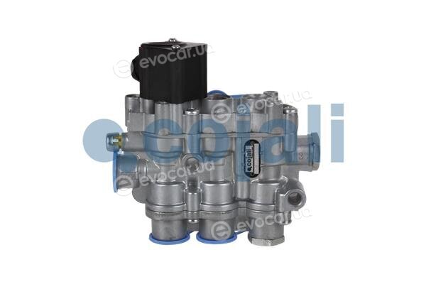Cojali 2209409