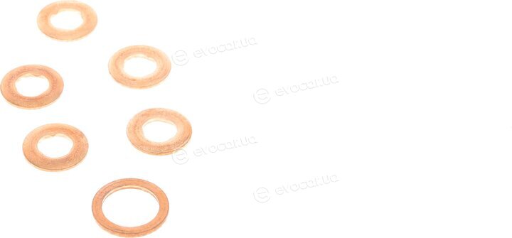 Elring 506.520
