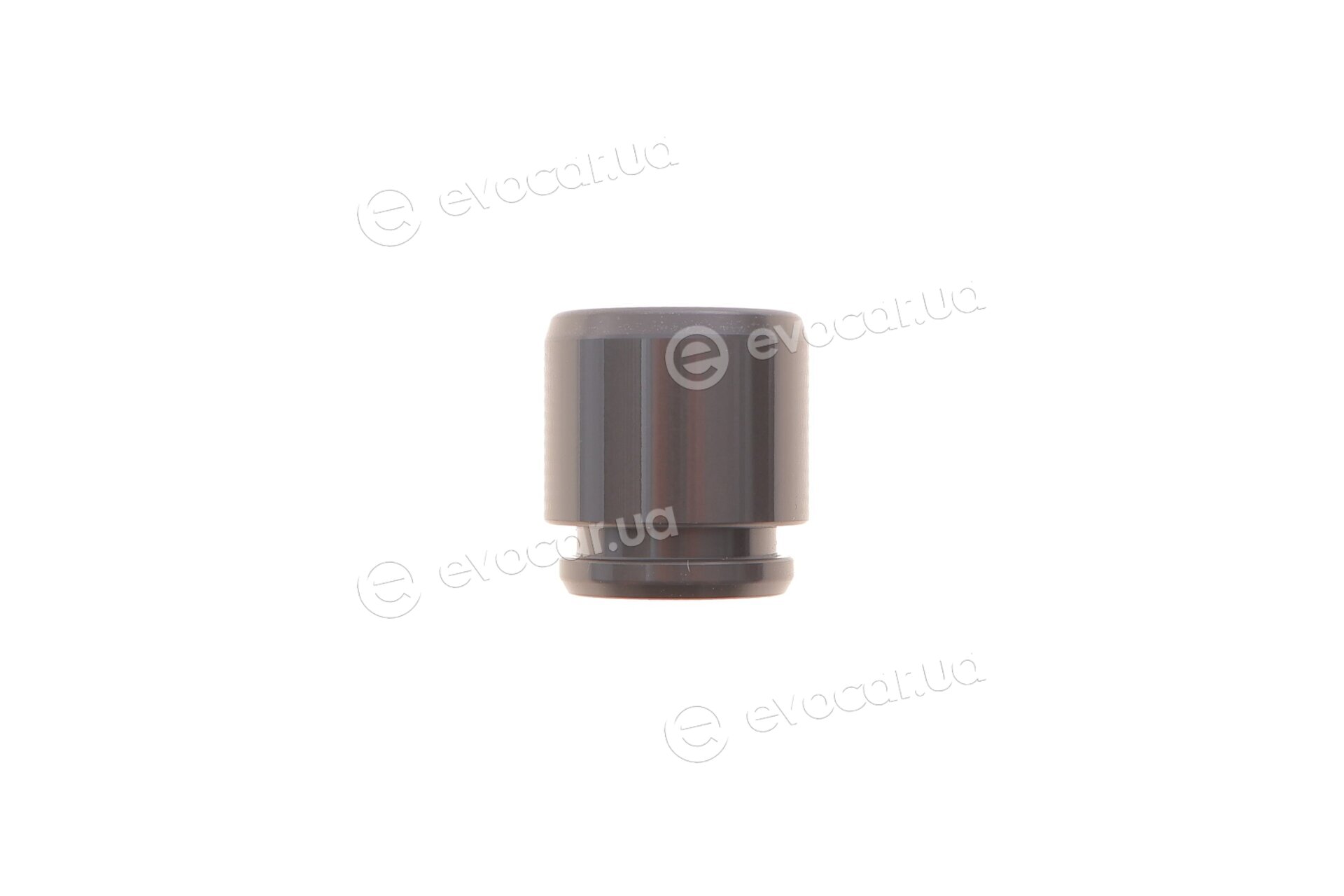 Frenkit P303101